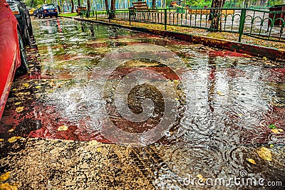 Beautiful background of wet asphalt with raindrops. Stock Photo