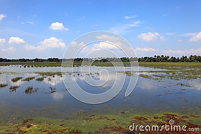 Beautiful backwater locations of Kerala Stock Photo
