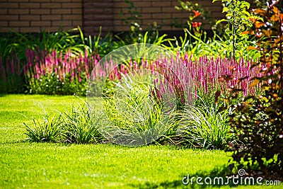 Beautiful backyard landscape design. View of colorful trees and decorative trimmed bushes rocks Stock Photo