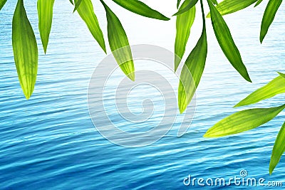 Beautiful bamboo frame with blue water Stock Photo