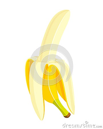 Beautiful bananas in cartoon style Vector Illustration