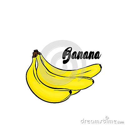 Beautiful bananas. Vector illustration. Tropical fruits. Vector Illustration