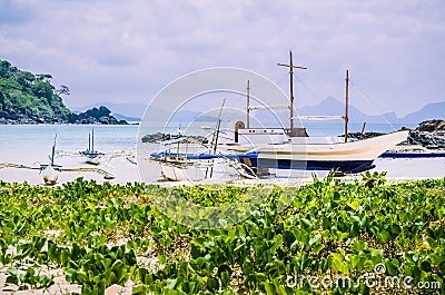 Beautiful banca boats on Nacpan beach on sunny day. El Nido, Palawan, Philippines Stock Photo