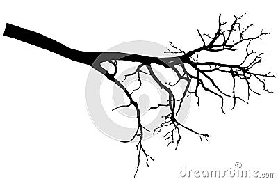 Beautiful bare branch tree silhouette, vector illustration Vector Illustration