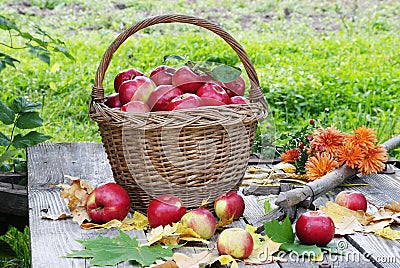 Beautiful basket with apples Stock Photo