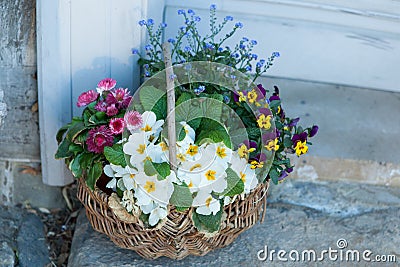 Beautiful basket of flowers Stock Photo