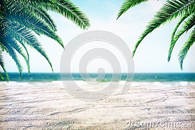 Beautiful beach background with palms Stock Photo