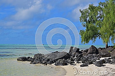 Beautiful Beach with Black Rocks at Ile aux Cerfs Mauritius Stock Photo