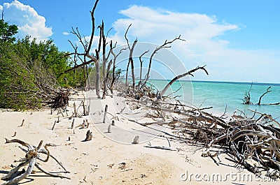 Beautiful beach at Cayo JutÃ­as Stock Photo