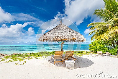 Tropical beach nature as summer landscape with lounge chairs and palm trees and calm sea for beach banner Stock Photo