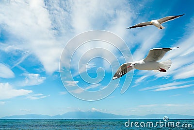 Beautiful beach at Chalkidiki peninsula Stock Photo