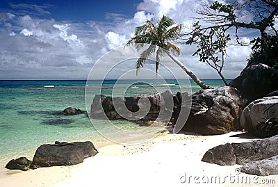 Beautiful Beach,Madagascar Stock Photo