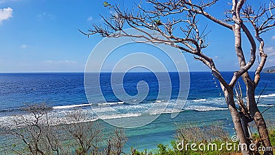 Beautiful Beach and Ocean With Clear Sky and tree Stock Photo