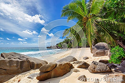 Beautiful beach with palm tree and cliffs at Seychelles. Stock Photo