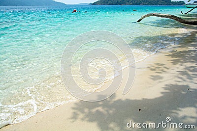Beautiful beach in tropical sea at lipe island ,satun Thailand Stock Photo