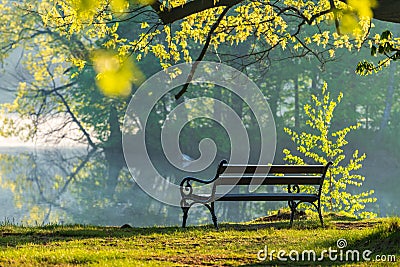 Beautiful bench in the park Stock Photo