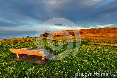 Beautiful bench in a park near the sea Stock Photo