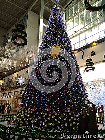 So beautiful big Christmas tree and green colour Editorial Stock Photo