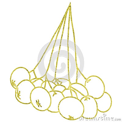 Beautiful Big Rowan Raceme with fruits, great design for any purposes. Gold Tree icon. Doodle style illustration Cartoon Illustration