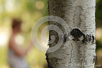 beautiful birch bark Stock Photo