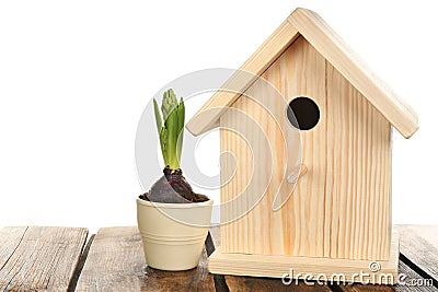 Beautiful bird house and potted hyacinth on wooden table against white background Stock Photo