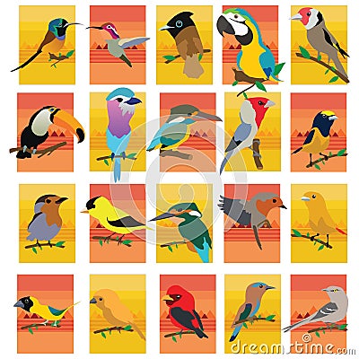 beautiful birds. Vector illustration decorative design Vector Illustration