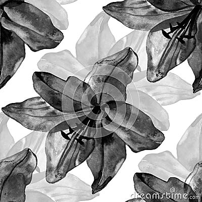 Beautiful black lilies flowers seamless pattern on white background Cartoon Illustration