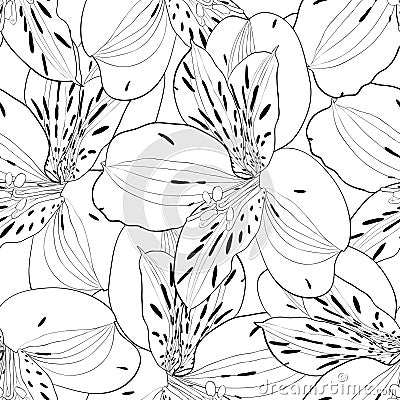 Beautiful black and white seamless pattern in alstroemeria with contours. Stock Photo