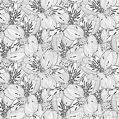 Beautiful black and white seamless pattern in alstroemeria with contours. Vector Illustration