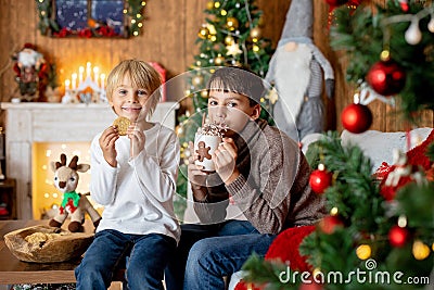 Beautiful blond child and his older brother, young school boys, playing in a decorated home with knitted toys Stock Photo