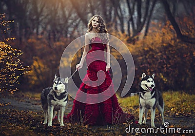 A beautiful blonde girl in a chic red dress, walking with two husky dogs in an autumn forest. Stock Photo