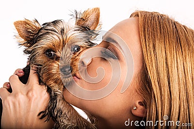 Beautiful blonde woman kissing yorkshire terrier - close up Stock Photo