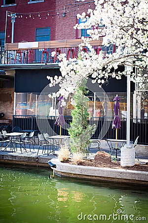 Beautiful blooming Bradford Pear tree along canal river side restaurant with outdoor table chair, balcony seatings, historic brick Stock Photo