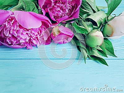 Beautiful blooming peony romantic elegance vintage bouquet on wooden background birthday Stock Photo