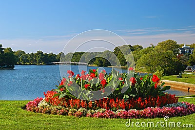 Summer garden at the lake Stock Photo