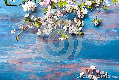 Beautiful blossoming branches on wooden background Stock Photo