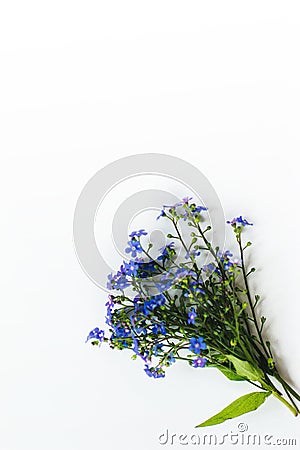 Beautiful blue flowers in a postal envelope Stock Photo