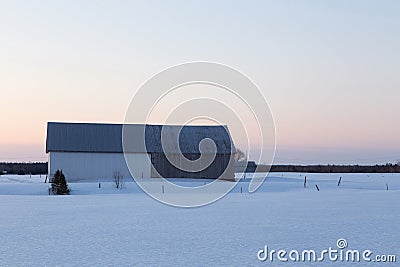 Beautiful blue hour winter view of patrimonial grey barn with steep metal roof in snowy field Stock Photo