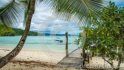 Beautiful Blue Lagoone with a Palmtree in Front, Gam Island, West Papuan, Raja Ampat, Indonesia Stock Photo