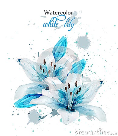 Beautiful blue lily flower Vector. Delicate floral decor. Paint splash Vector Illustration