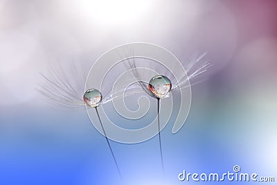 Beautiful Blue Nature Background.Abstract Artistic Wallpaper.Art Macro Photography.Creative Amazing Floral Photo.Dandelion,drop. Cartoon Illustration