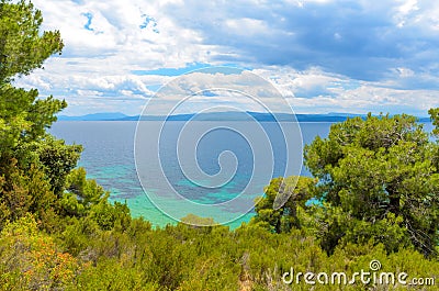Beautiful blue sea behind conifers Stock Photo