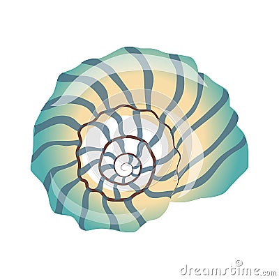 Beautiful blue seashell, an empty shell of a sea mollusk. Colorful cartoon illustration Vector Illustration