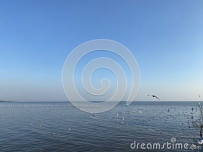 Beautiful blue sky over calm sea with sunlight reflection, thailand. Giving a feeling of tranquility water surface. Sunny sky and Stock Photo