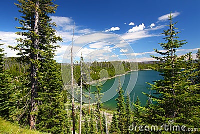 Duck Lake Yellowstone National Park Stock Photo