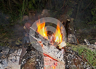 Beautiful bonfire Stock Photo