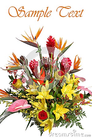 Beautiful bouquet. Stock Photo