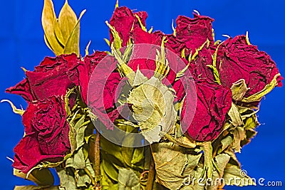 Beautiful Bouquet of Bright Red Roses Stock Photo