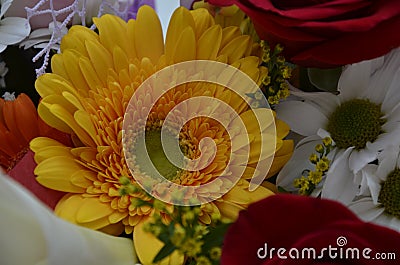 Beautiful bouquet of flowers in bright colors. It consists of roses, gerberas and decorative grass. Stock Photo