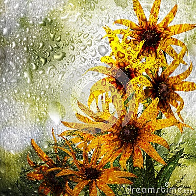 Beautiful bouquet of flowers that are outside the window on the glass of which there are many drops of water Stock Photo